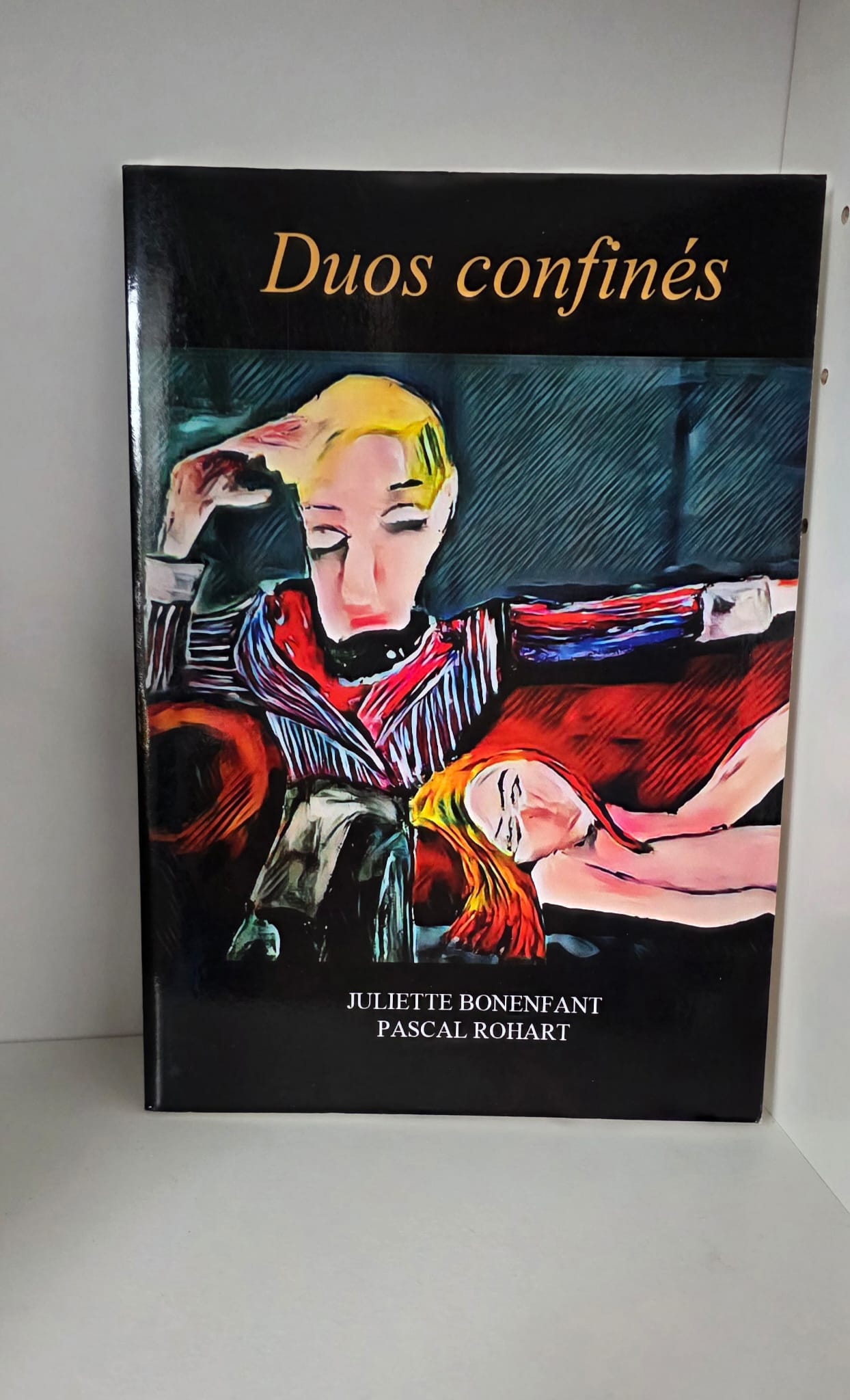 Couverture du livre Duos confinés de Juliette Bonenfant et Pascal Rohart